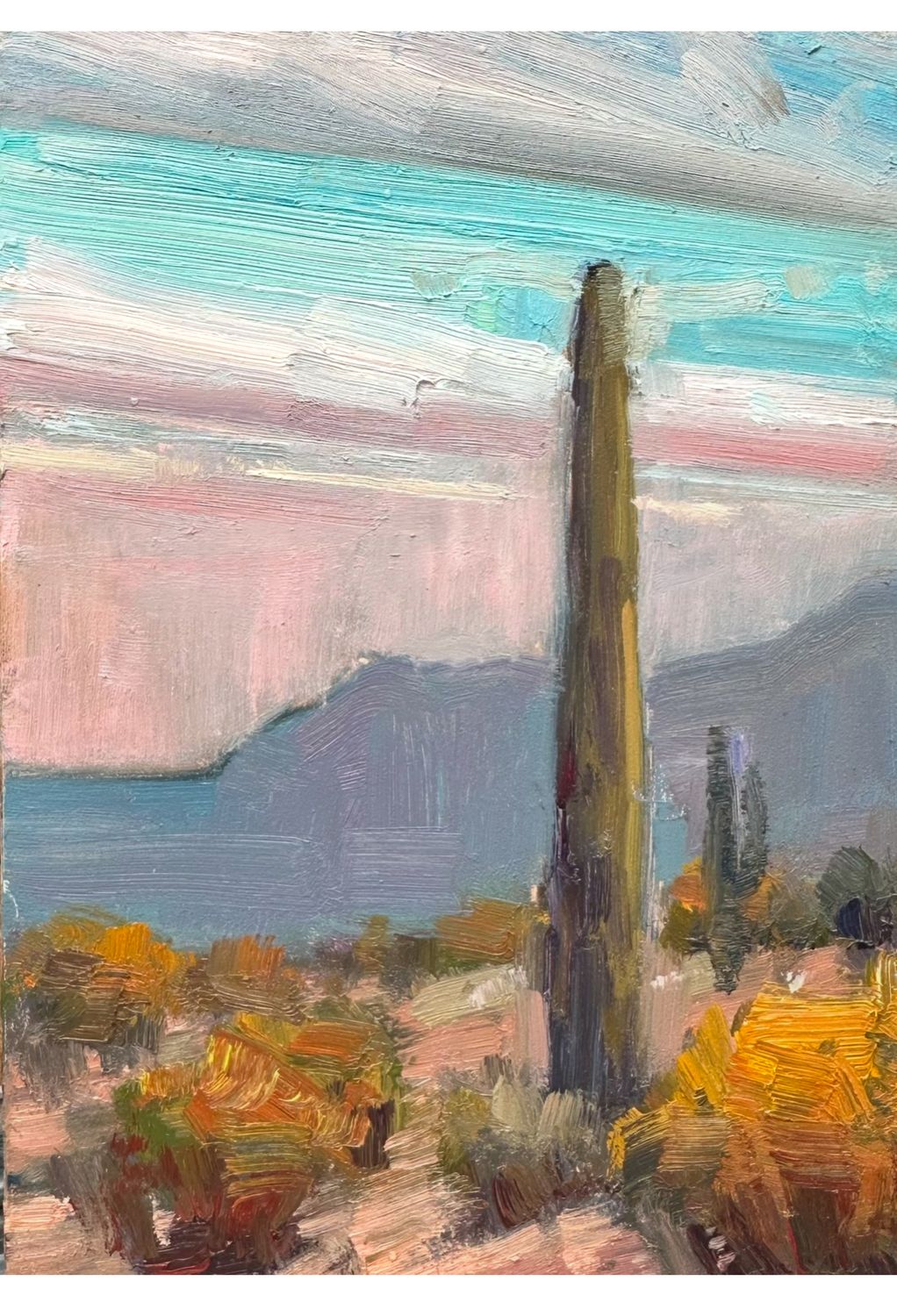 Sonoran Light - Original Oil Painting - Desert Field Study