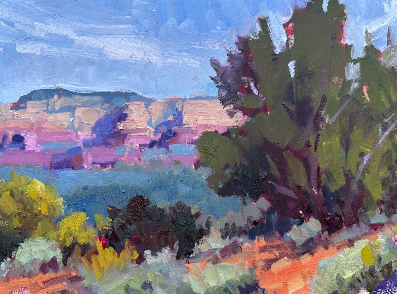Chimney Pass Loop Vista
