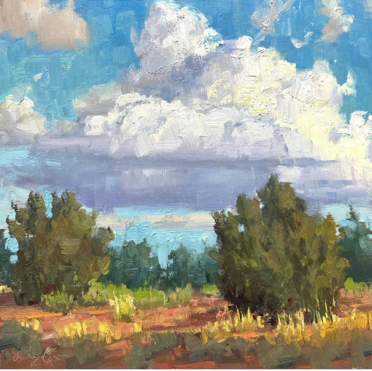 Clouds & Juniper - Original Oil Painting - 14x14”