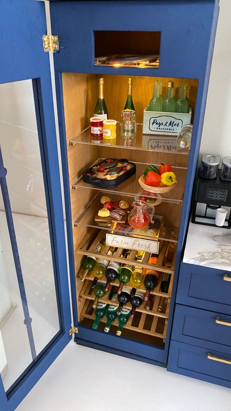 Fridge/Pantry/Wine Cooler/Display Cabinet kit – 1-6 scale fashion doll furniture - DIY kit
