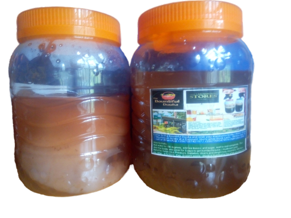 Ma&#39;s Mushroom Scoby / Kombucha Scoby / Kitiko to make Kombucha Tea.