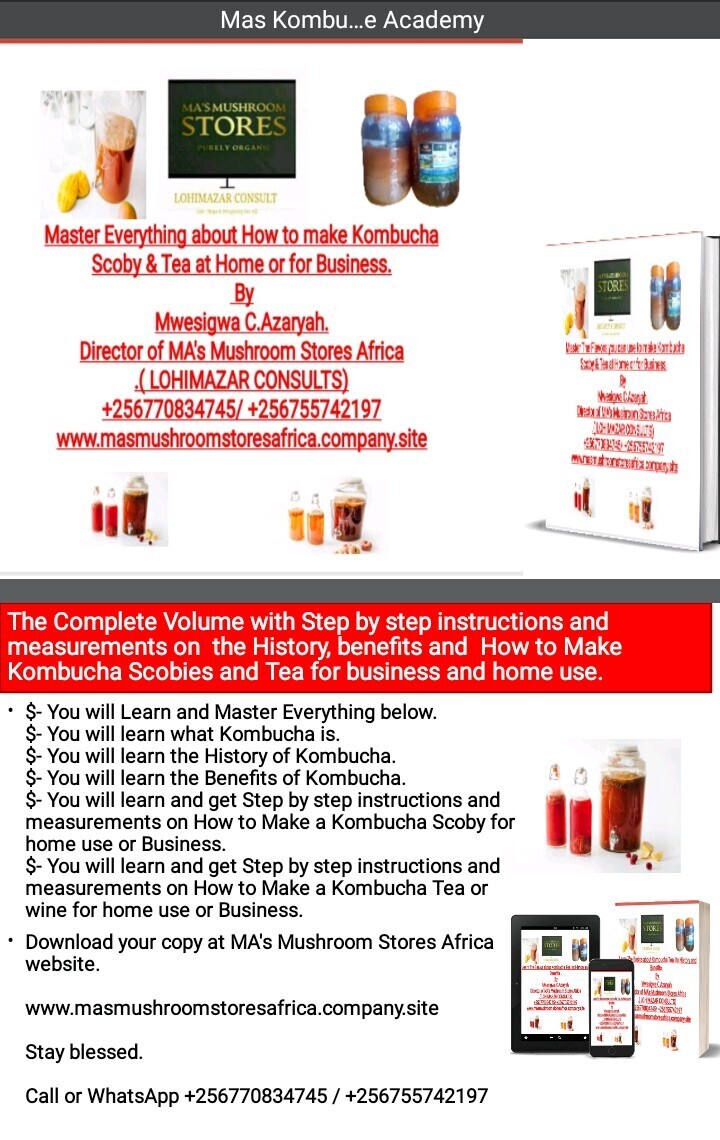 Master Everything about how to make Kombucha Scobies and Kombucha Tea at home and for business.