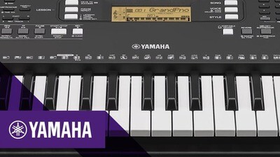 Órgano Yamaha Psre373 