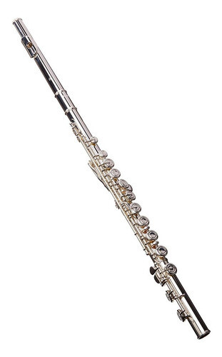 Flauta Yamaha Yfl 222 