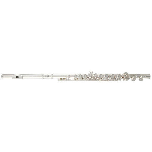 Flauta Roy Benson Fl 402 