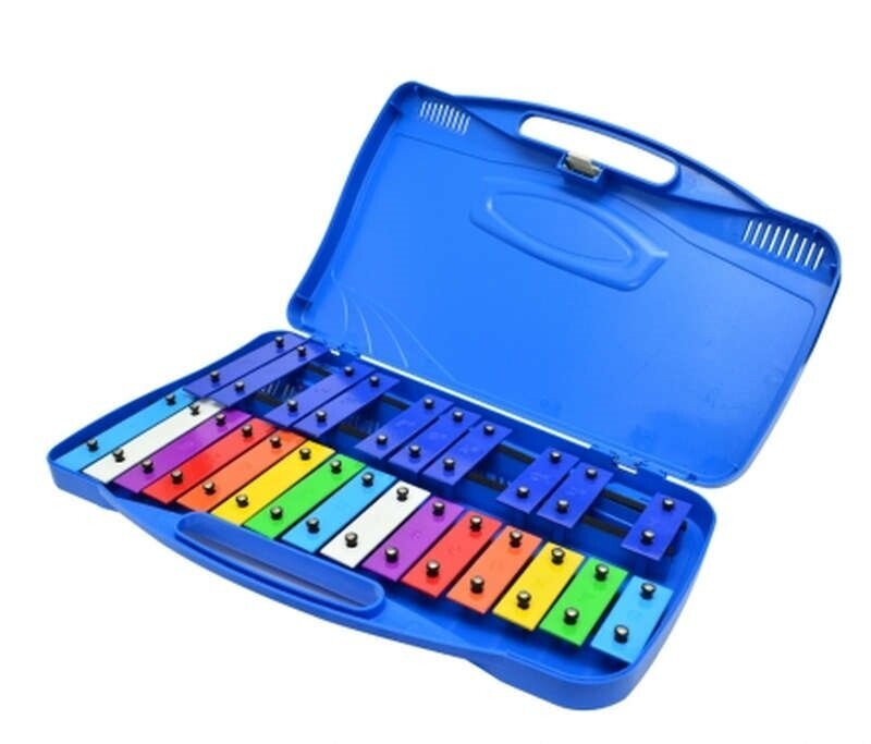 Metalofono 25 Notas Cromatico Con Estuche Xilofono Didactico
