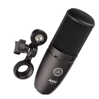 Microfono Condensador Akg Perception 120