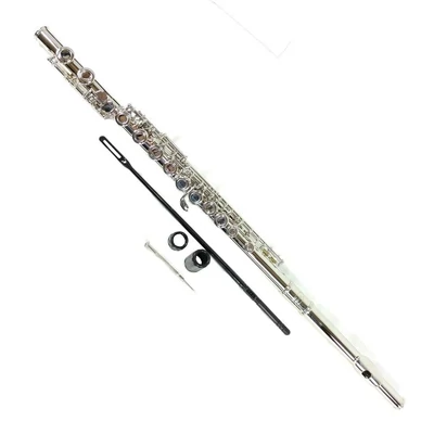 Flauta Traversa Lincoln Jyfl1201n