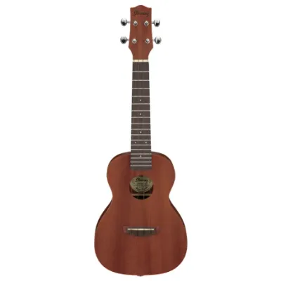 Ukelele Ibanez Ukc100 Concert