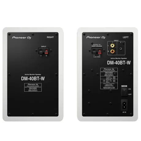 Monitor De Estudio Pioneer Dm40btw