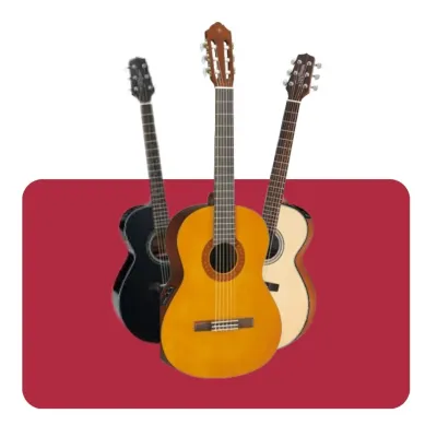 Guitarras Electroacústicas