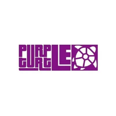 Purple Turtle