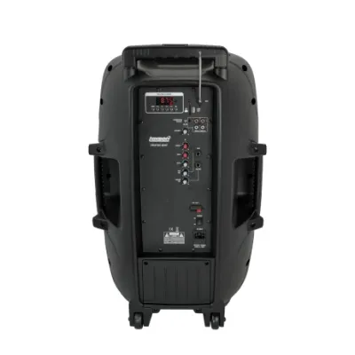 Caja Activa Lexsen Tro15c A Bateria