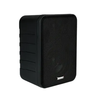 Caja Pasiva Para Instalación Lexsen Ws0104blk Negro