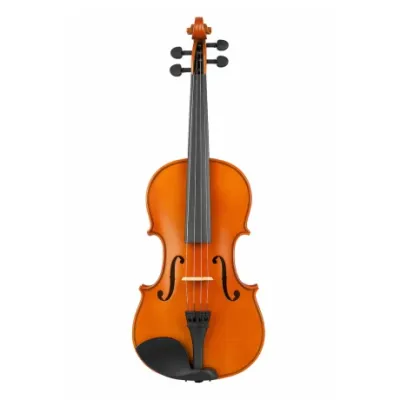 Viola Valencia Va400m 15&quot; C/ Estuche Y Arco