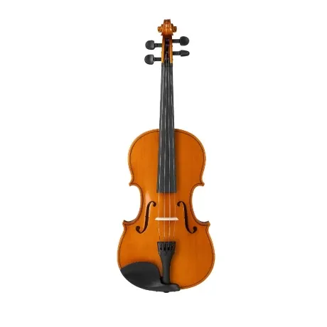 Viola Valencia Va100 15&quot; C/ Estuche Y Arco