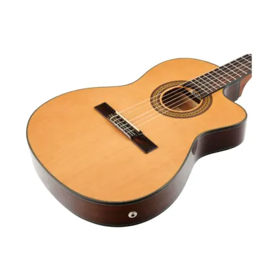 Guitarra Electroacustica Ibanez Ga5tce Nylon Ambar