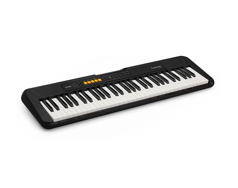 Organo Casio Cts100
