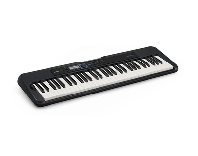 Organo Casio Cts300
