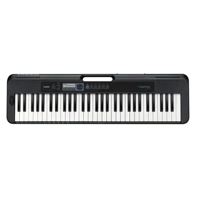 Organo Casio Cts300