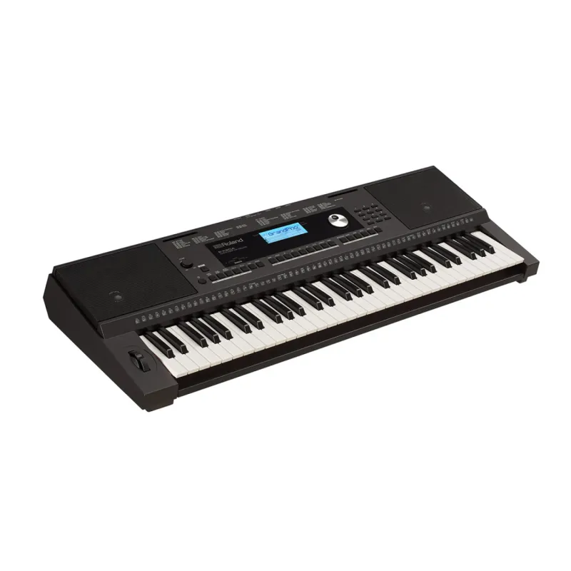 Organo Roland E-x20a