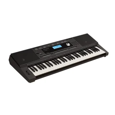Organo Roland E-x20a