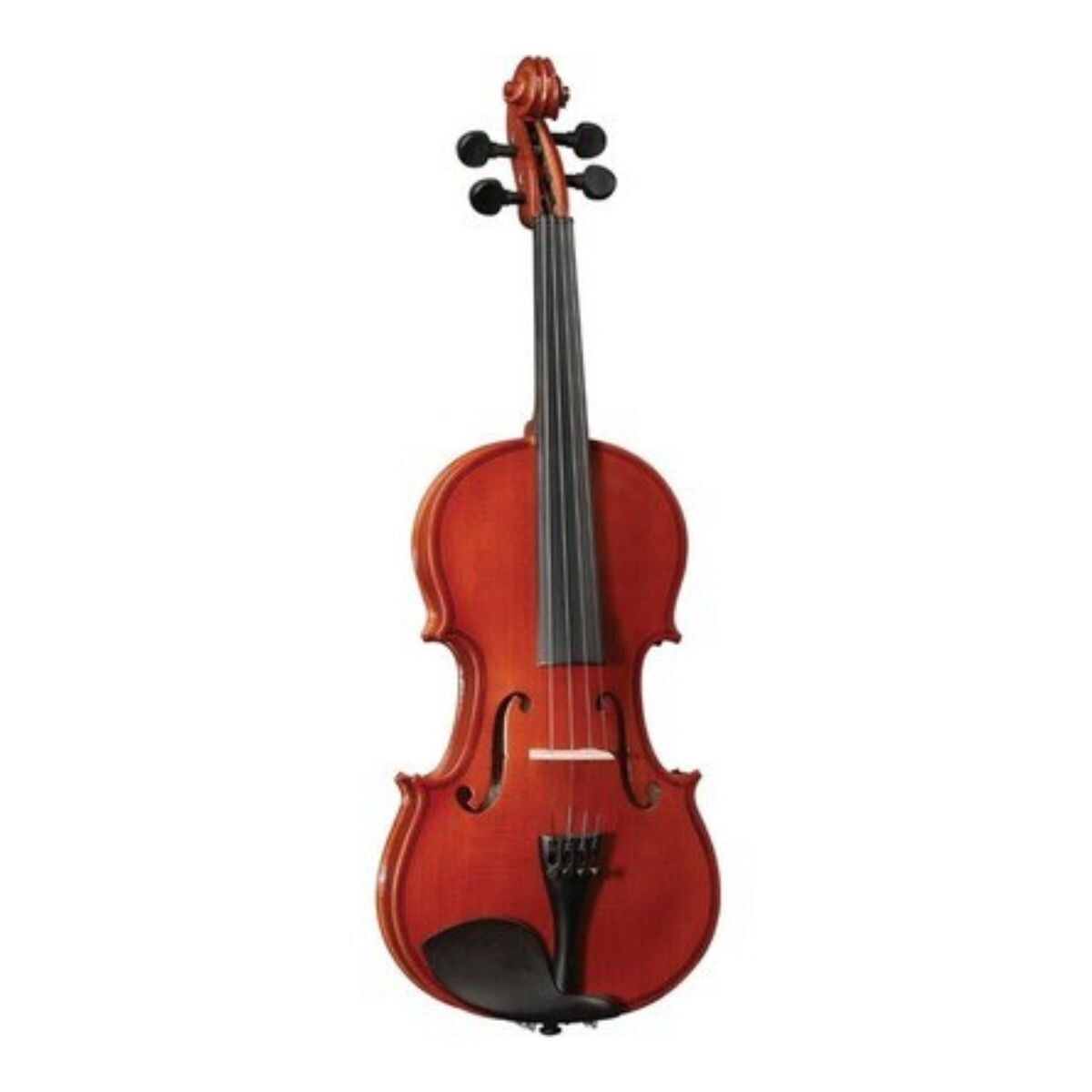 Violin 4/4 Con Estuche Purple Turtle