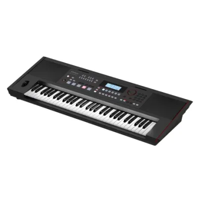 Organo Roland Ex50
