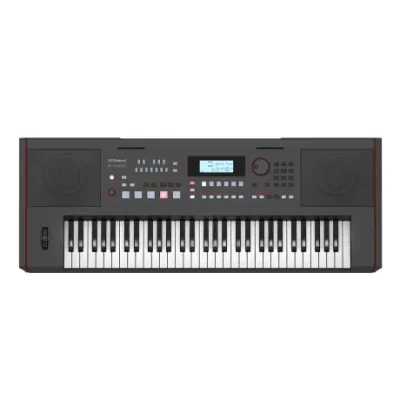 Organo Roland Ex50