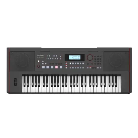 Organo Roland Ex50