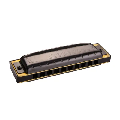 Armonica Hohner 562 Pro Harp En C 20 Voces Con Estuche