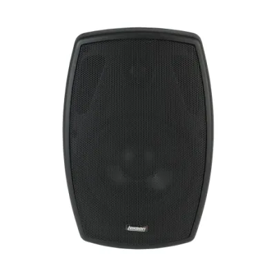 Caja Pasiva Para Instalacion Lexsen Ws0506t Negro