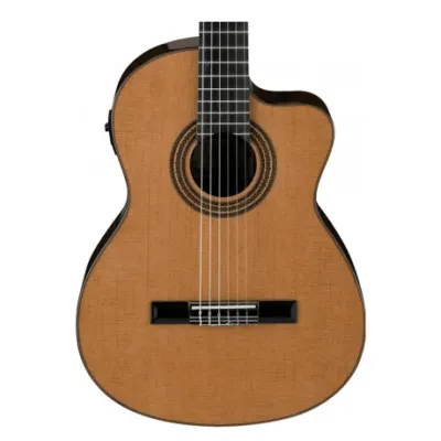 Guitarra Electroacustica Ibanez Ga6ce Natural