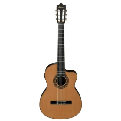 Guitarra Electroacustica Ibanez Ga6ce Natural