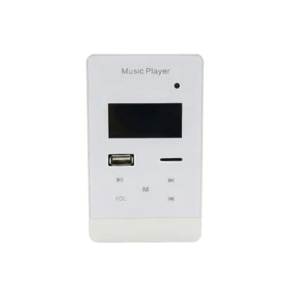 Potencia Instalacion Lexsen Wma2x15w Fm Usb Para Pared