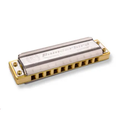 Armonica Hohner 2011 Marine Band Thunderbird En G 20 Voces