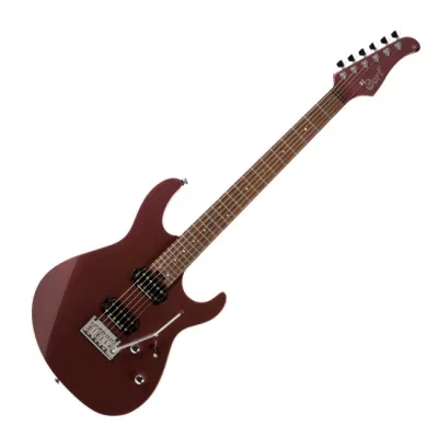 Guitarra Electrica Con Doble Corte G300 Bordó