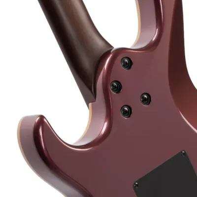Guitarra Electrica Con Doble Corte G300 Bordó