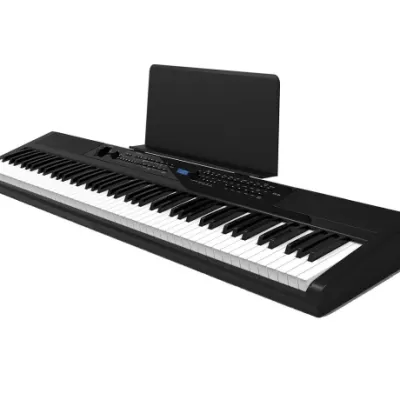 Piano Digital Artesia Pe88 Black