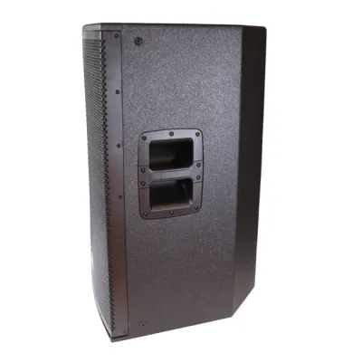 Caja bafle activo de 15 pulgadas de madera con DSP