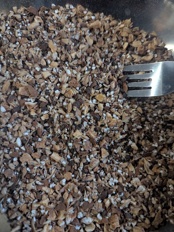 A fork stuck into a blend of barleys, lemon peel, and cinnamon - caught in the act of stirring.