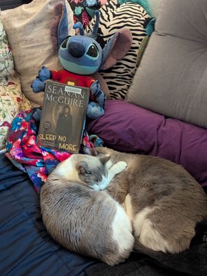 A six-limbed plushie of Stitch holds a library-bar-coded hardcover of Seanan McGuire's Sleep No More. Almost curled up with the book, but definitely curled up together in a semi-heart-shaped cuddley mess, are two grey and white cats. Various pillows and blankets surround the three plus book.
