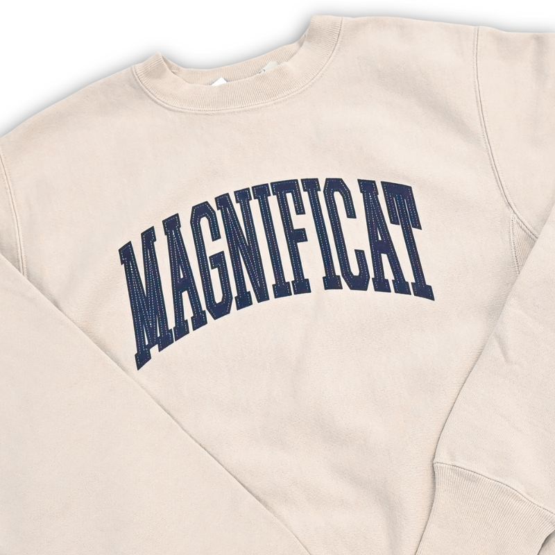 Men's Reverse Weave Crew | Arctic