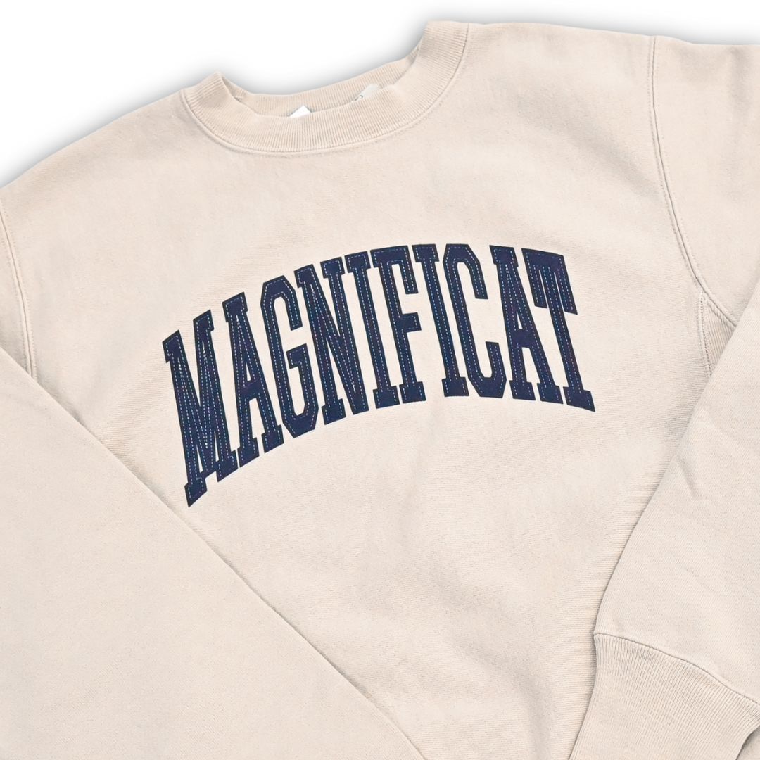 Men's Reverse Weave Crew | Arctic