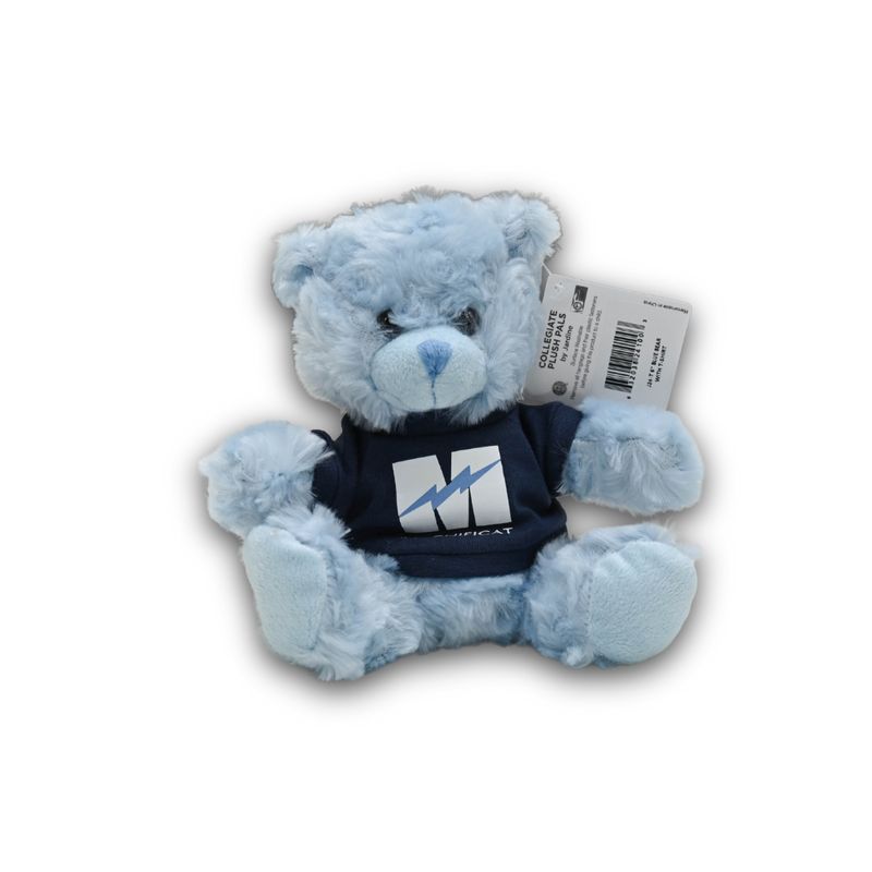 Stuffed Bear