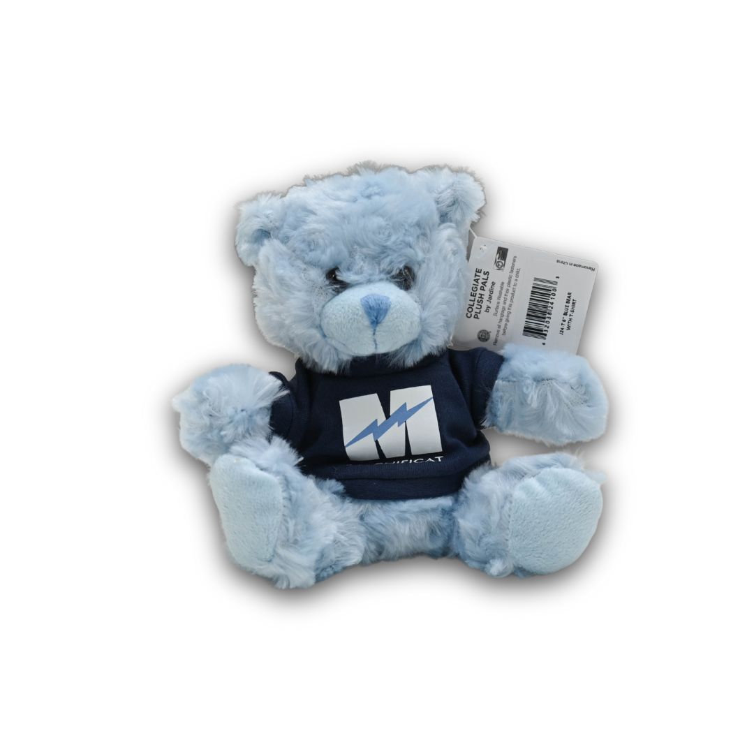 Stuffed Bear, Color: Blue
