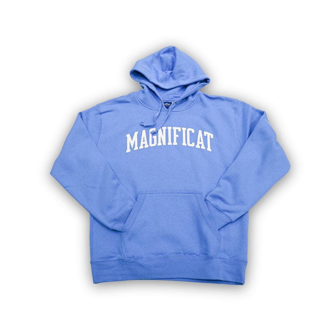 Powerblend Fleece Hoodie, Color: Lt. Blue, Size: XSmall