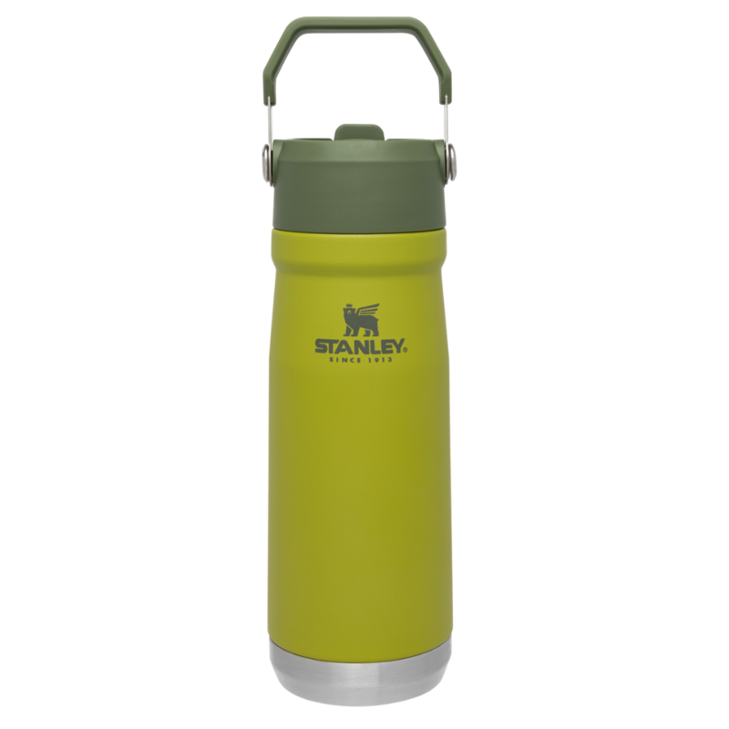 BOTELLA FLIP 650 ML ALOE