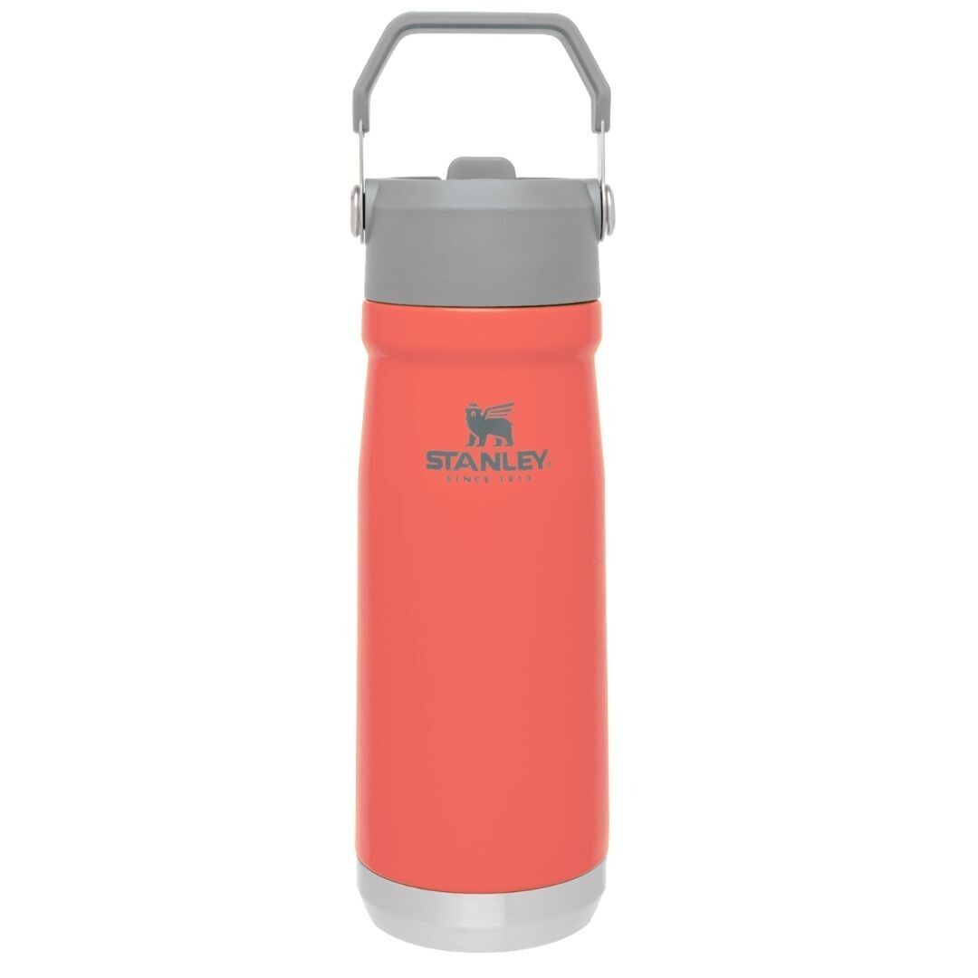 FLIP STRAW WATER BOTTLE | 650 ML