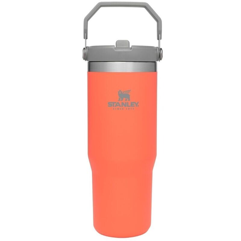 FLIP STRAW TUMBLER | 887 ML